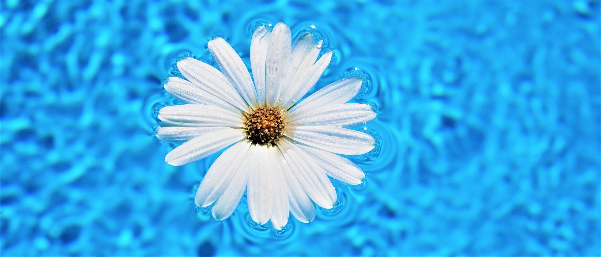 Ferienprogramm – Auf Entdeckungstour im Wasserwerk