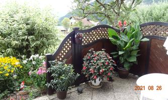 A cozy terrace with colorful flowers and various plants. In the background, green trees and a beautiful landscape can be seen.