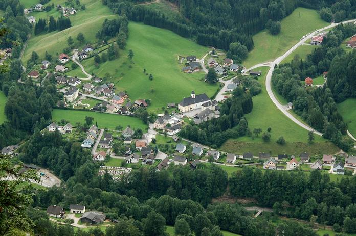 Weinheuriger