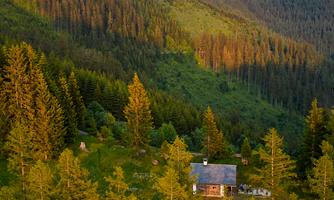 An idyllic landscape with green mountains and dense coniferous trees. In the foreground, there is a cozy house surrounded by nature.