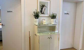 A bright room with two doors. A described piece of furniture stands in the middle, decorated with plants and a picture.