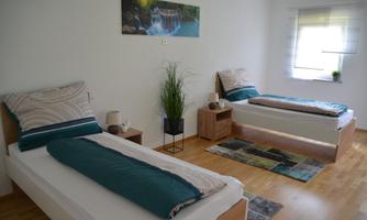 A cozy bedroom with two single beds and modern wooden decor. There is also a small plant and a colorful carpet pattern.