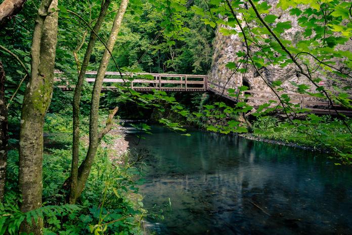 Wehranlage in der großen Raabklamm