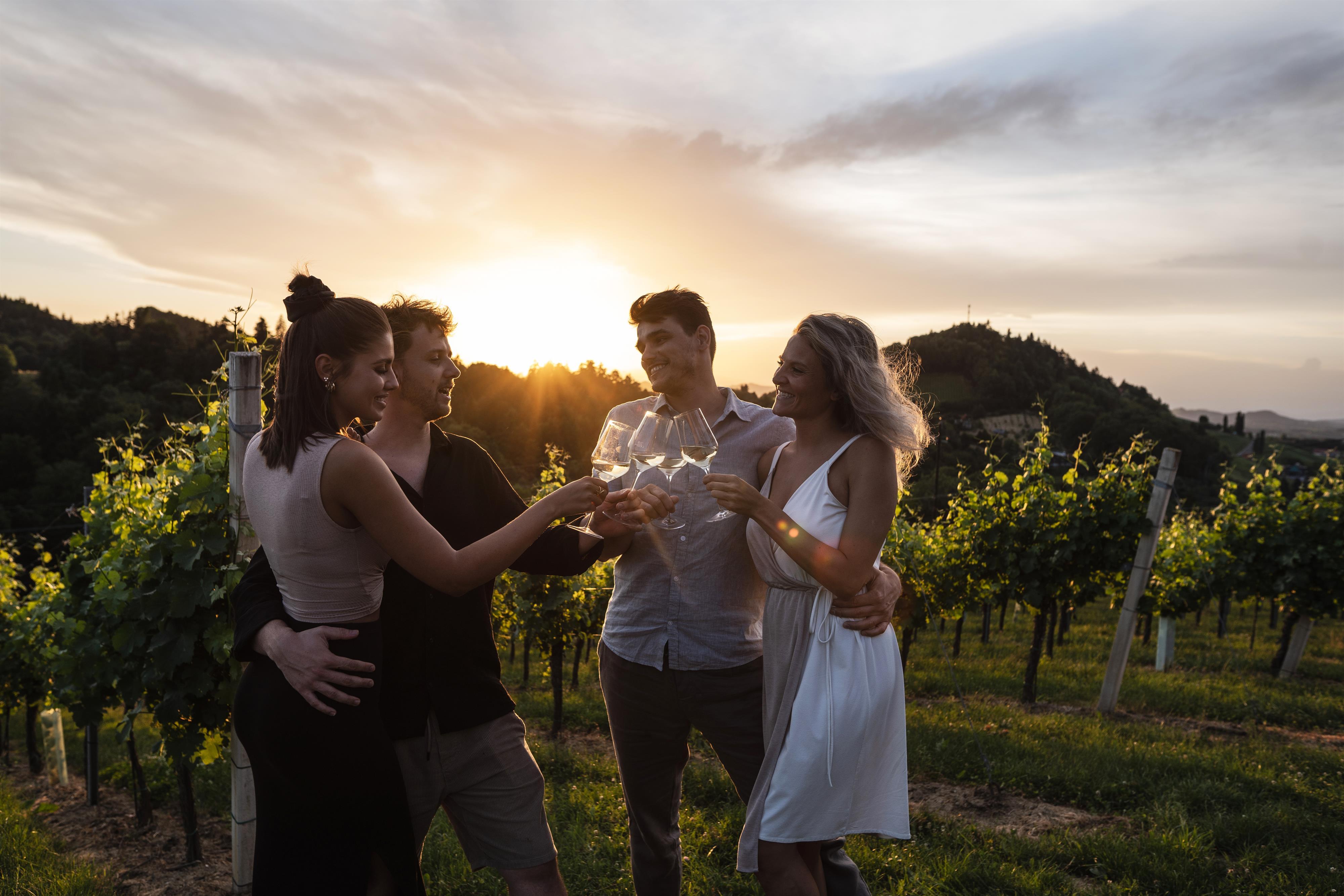 Wine Clubbing – Domaine 1196