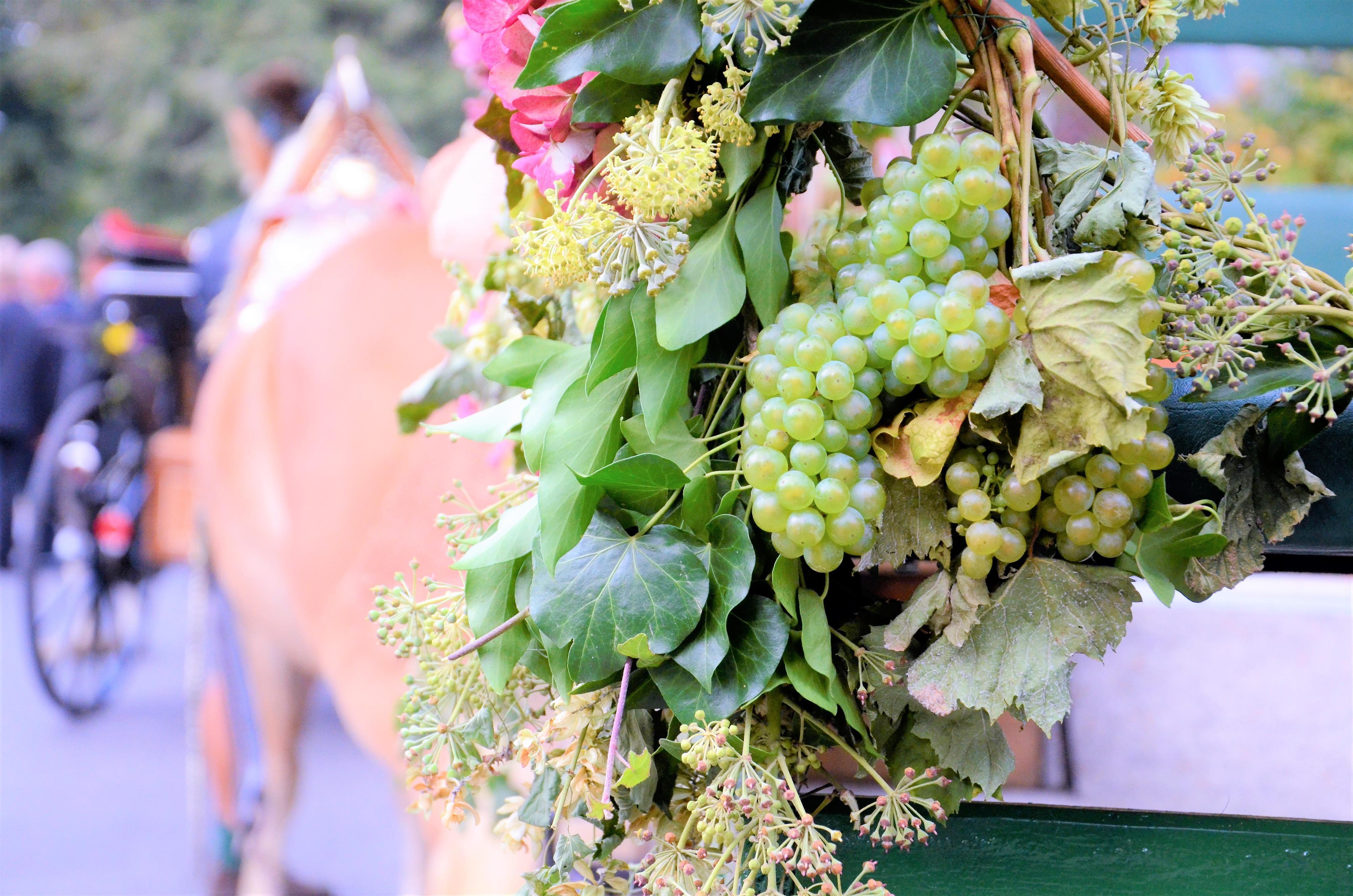 Gamlitzer Weinlesefest