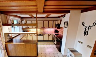 A modern kitchen with wooden details and functional appliances. A stylized deer head is mounted on the wall.