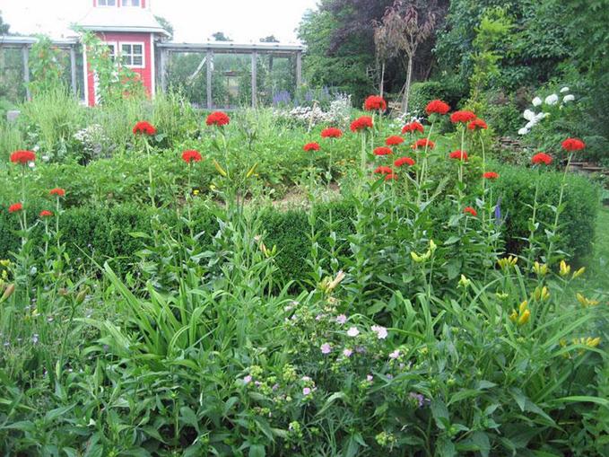 Veronikas Garten