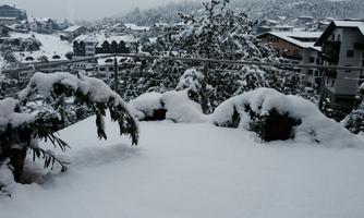 A snowy landscape with snow-covered plants and buildings in the background. The sky is gray and it looks like cold weather.