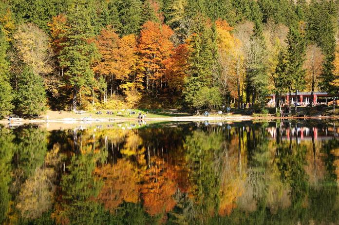 Naturschutzgebiet Vorderer und Hinterer Langbathsee