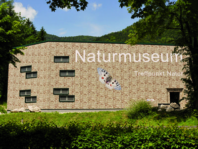 Naturwelten - Naturmuseum Salzkammergut