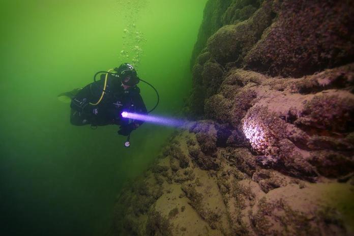 Adventure Diving