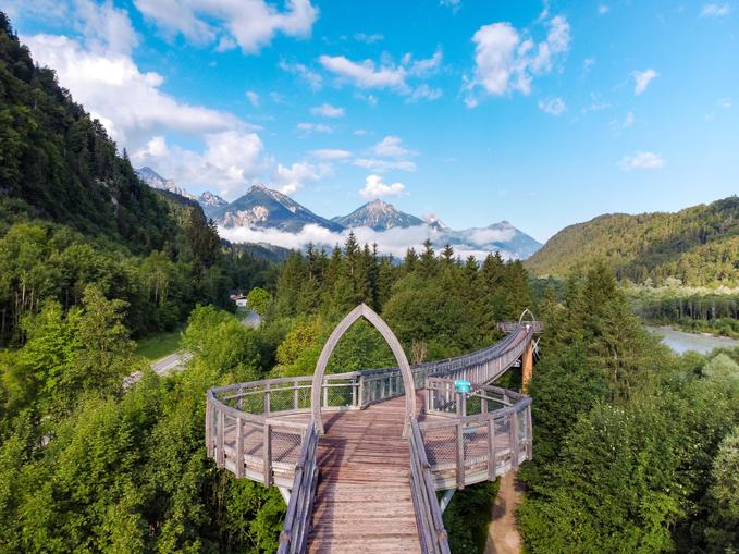Baumkronenweg
