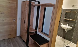 A bright room with a wooden wardrobe and a mirror. In the background, there is a modern bathroom with a shower and sink.
