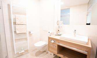 A modern bathroom with a white toilet and a light wood sink. On the wall, there is a towel radiator and a large mirror.