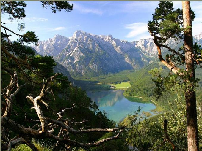 Almsee - Natur- und Landschaftsschutzgebiet