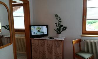 A cozy room with a television on a table, decorated with a plant. The light from the windows creates a friendly atmosphere.