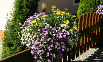 A colorful bouquet with purple, white, and yellow flowers. In the background, there is a wooden fence and some evergreen plants.