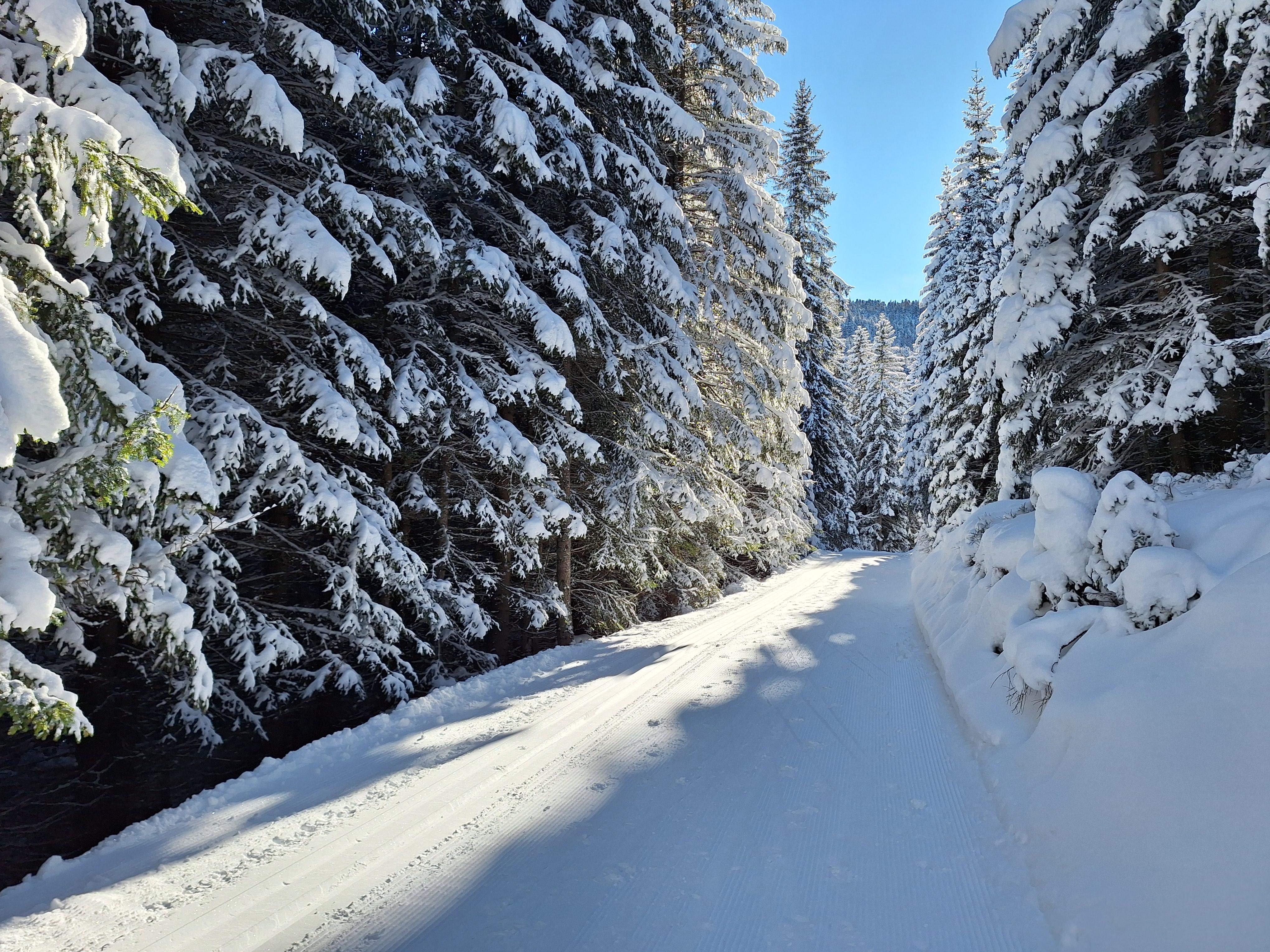 Testbetrieb Pitztal