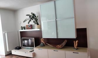 A modern living room with a large TV cabinet and a plant. The floor is made of wood, and the walls are painted light.
