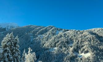 A snow-covered mountain range under a clear blue sky. The trees are covered with fresh snow, giving the landscape a wintery atmosphere.