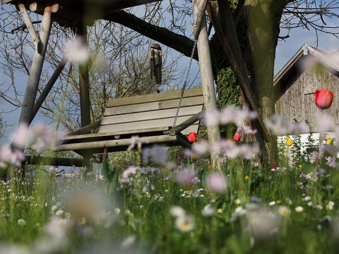 Adam´s Garten