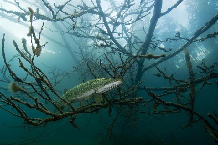Adventure Diving