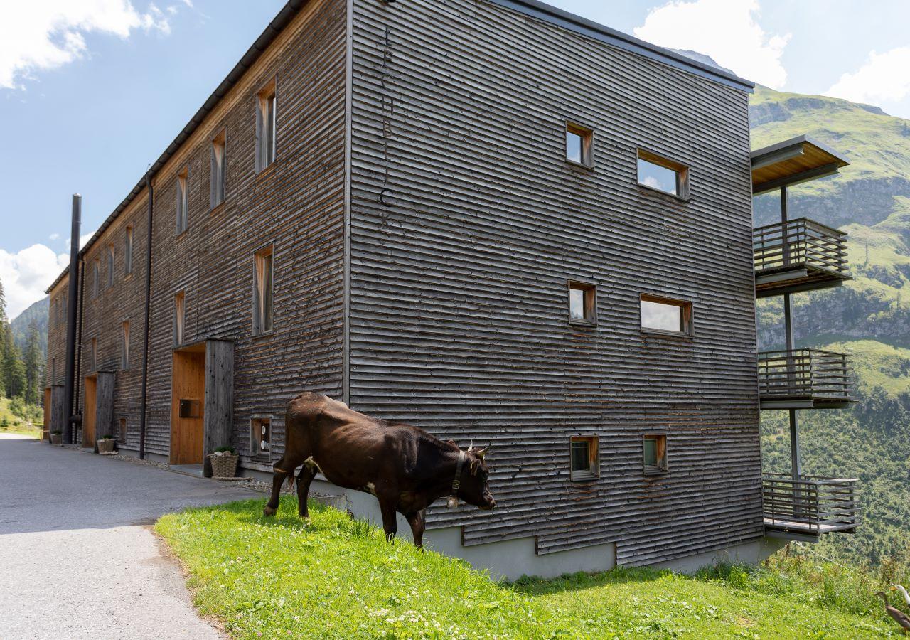 Appartements Lechblick