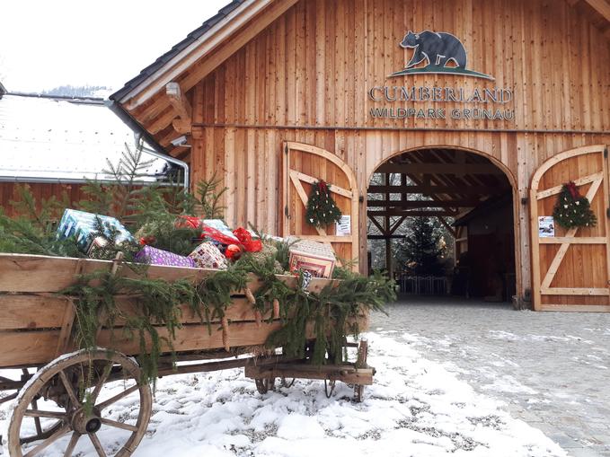 Advent im Wildpark