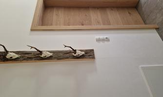 A simple interior with a white wall and gray floor.  
Several antlers hang on the wall, and a wooden door leads to another room.