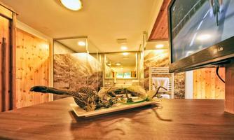 A table with a beautifully arranged dish of fresh vegetables and fish. In the background, a TV is visible and the walls are made of wood.