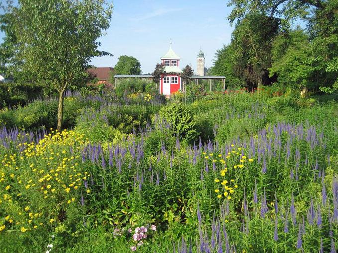 Veronikas Garten