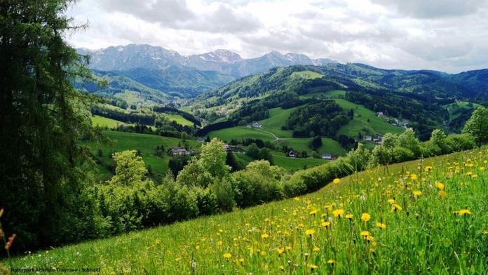 Naturpark Attersee-Traunsee
