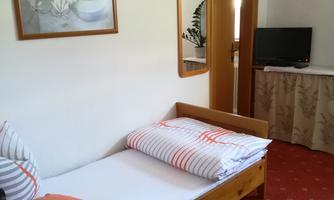 A simple room with a single bed, a mirror, and a television. A picture of lotus flowers hangs on the wall.