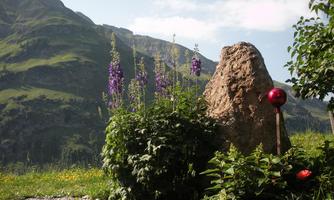 A picturesque landscape with blooming plants and a large stone in the foreground. In the background, green mountains rise beneath a clear sky.