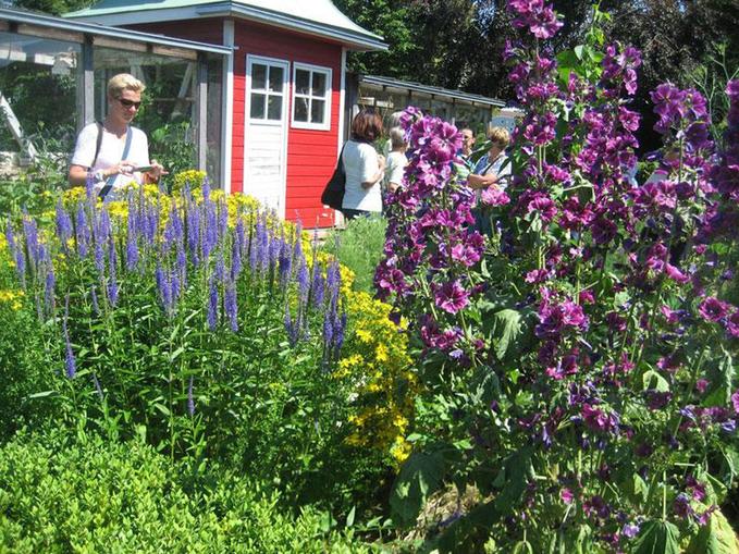 Veronikas Garten