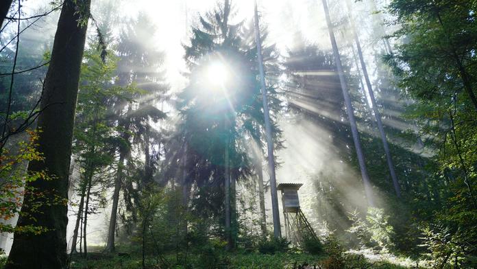 Naturpark Attersee-Traunsee