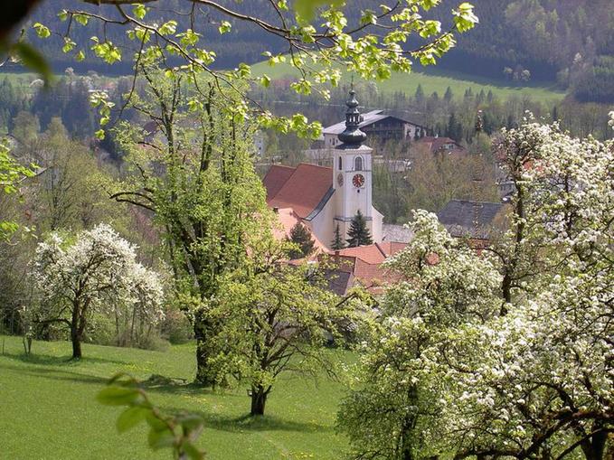 Pfarrkirche Viechtwang