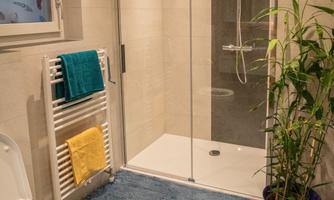 A modern bathroom with a shower and a toilet. There are towels, a towel holder, and a green plant pot.