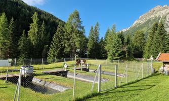 A green meadow surrounded by tall fir trees and mountains. In the center are several facility parts that are enclosed by a fence.