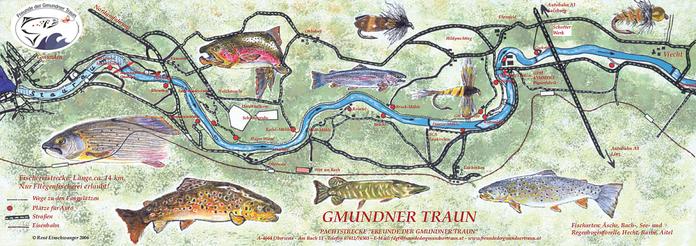 Fliegenfischen in der Gmundner Traun