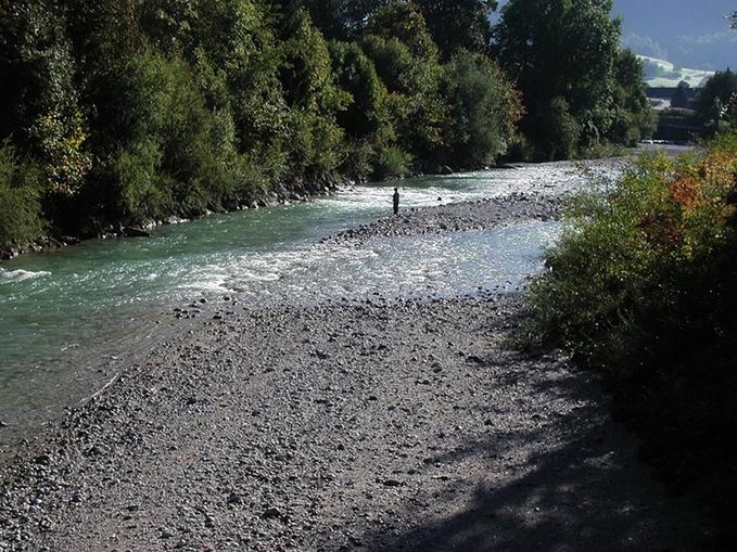 Fliegenfischen in der Alm