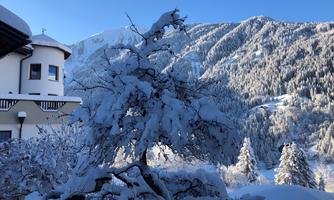A snowy winter landscape with a snow-covered tree in the foreground. In the background, the snow-covered mountains and a house are visible.
