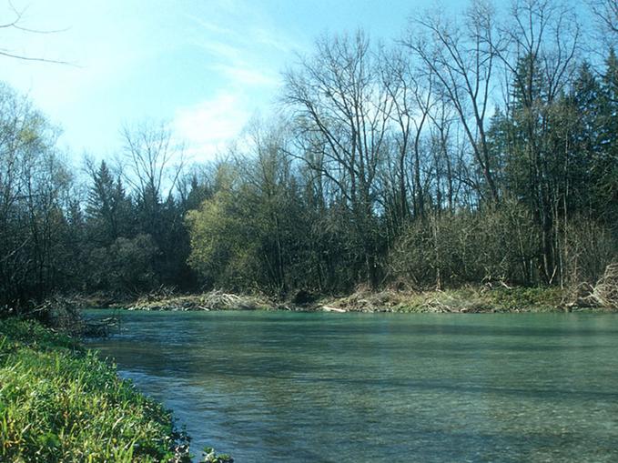 Almauen
