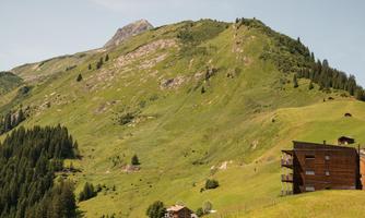 A picturesque mountain landscape with gentle green hills and wooded slopes. In the foreground stands a traditional wooden house, surrounded by idyllic nature.