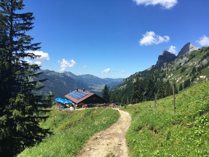 Wilderer Gourmet mit Übernachtung auf der Schneetalalm