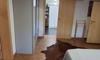 A modern room with wooden flooring and neutral colors. A rug is in the foreground and two doors are visible in the background.