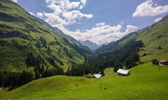A green landscape with gentle hills and mountains in the background. Small buildings are scattered between forests and meadows.
