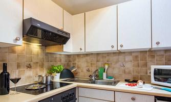 A modern kitchen with bright cabinets and appliances. A window lets in daylight and a plant is on the countertop.
