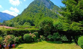 A photo taken in the big garden. It shows the view towards the mountains next to the house. Lawn surrounded by a hedge, bushes and flower.