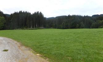 Aussicht Pension Schwaighof